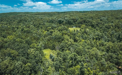 Tiny photo for 000 Czar Tower Road RD, Steelville, MO 65565 (MLS # 26041594)