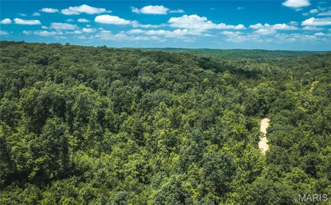 Tiny photo for 000 Czar Tower Road RD, Steelville, MO 65565 (MLS # 26041594)