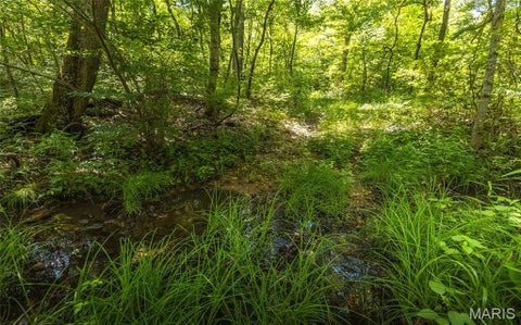 Tiny photo for 000 Czar Tower Road RD, Steelville, MO 65565 (MLS # 26041594)