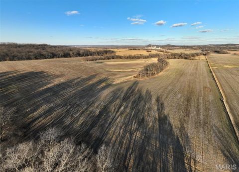 Tiny photo for 11742 Highway D, Louisiana, MO 63353 (MLS # 26009113)