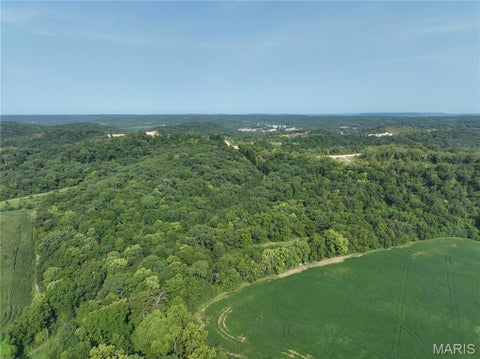 Tiny photo for 11742 Highway D, Louisiana, MO 63353 (MLS # 26009113)