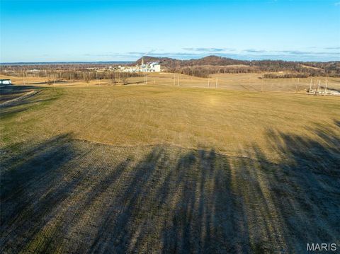 Tiny photo for 11742 Highway D, Louisiana, MO 63353 (MLS # 26009113)