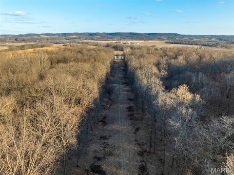 Tiny photo for 11742 Highway D, Louisiana, MO 63353 (MLS # 26009113)