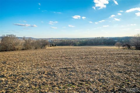 Tiny photo for 11742 Highway D, Louisiana, MO 63353 (MLS # 26009113)