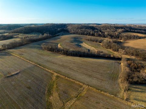 Tiny photo for 11742 Highway D, Louisiana, MO 63353 (MLS # 26009113)