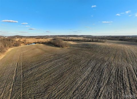 Tiny photo for 11742 Highway D, Louisiana, MO 63353 (MLS # 26009113)