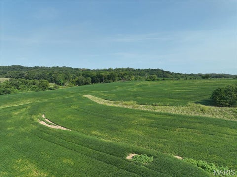Tiny photo for 11742 Highway D, Louisiana, MO 63353 (MLS # 26009113)