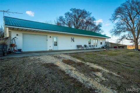 Tiny photo for 11742 Highway D, Louisiana, MO 63353 (MLS # 26009113)
