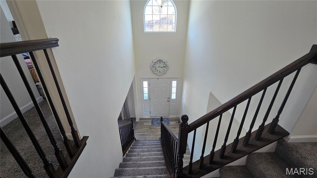 Lions Gate - Residential