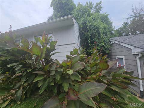 Photo of 7415 Castro Drive, St Louis, MO 63135 (MLS # 26052072)