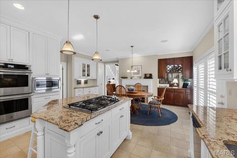 Tiny photo for 15920 Picardy Crest Court, Chesterfield, MO 63017 (MLS # 26001300)