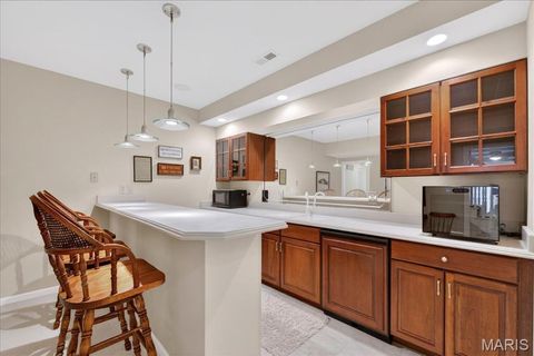 Tiny photo for 15920 Picardy Crest Court, Chesterfield, MO 63017 (MLS # 26001300)