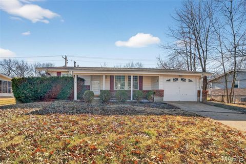 1328 Coppergate Lane St Louis MO 63138