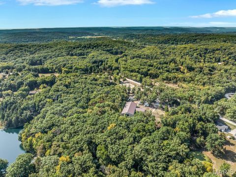 Tiny photo for 29022 Pinnacle Lake Road, New Florence, MO 63363 (MLS # 25055301)
