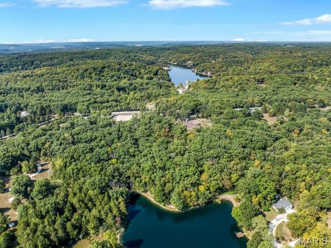 Tiny photo for 29022 Pinnacle Lake Road, New Florence, MO 63363 (MLS # 25055301)