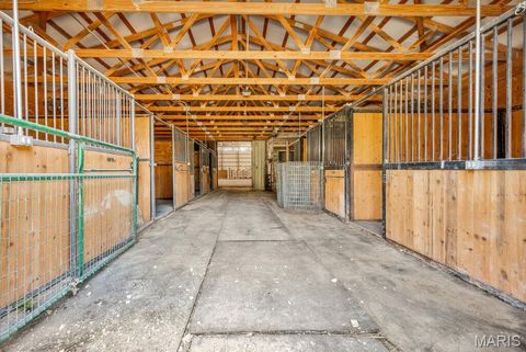Tiny photo for 29022 Pinnacle Lake Road, New Florence, MO 63363 (MLS # 25055301)