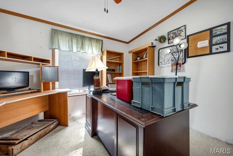 Tiny photo for 29022 Pinnacle Lake Road, New Florence, MO 63363 (MLS # 25055301)