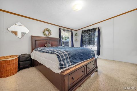 Tiny photo for 29022 Pinnacle Lake Road, New Florence, MO 63363 (MLS # 25055301)