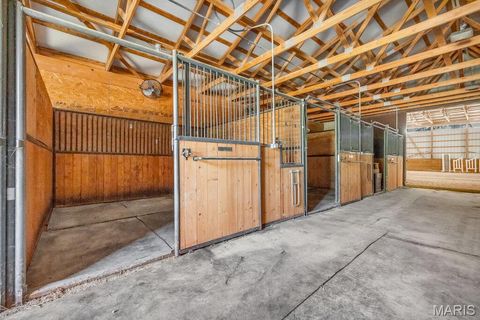 Tiny photo for 29022 Pinnacle Lake Road, New Florence, MO 63363 (MLS # 25055301)