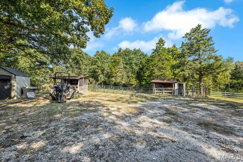 Tiny photo for 29022 Pinnacle Lake Road, New Florence, MO 63363 (MLS # 25055301)