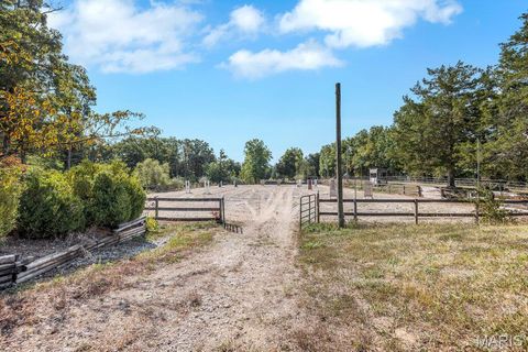 Tiny photo for 29022 Pinnacle Lake Road, New Florence, MO 63363 (MLS # 25055301)