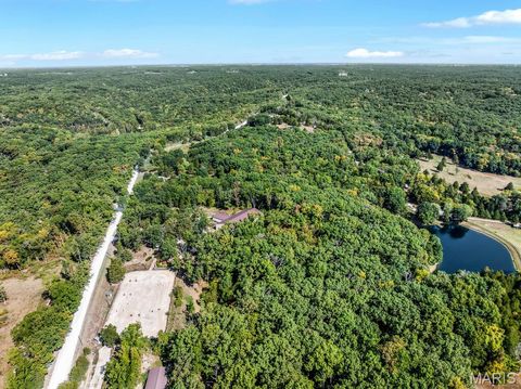 Tiny photo for 29022 Pinnacle Lake Road, New Florence, MO 63363 (MLS # 25055301)