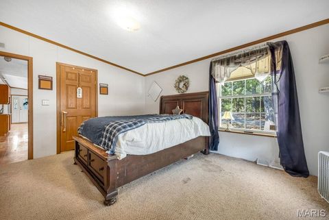Tiny photo for 29022 Pinnacle Lake Road, New Florence, MO 63363 (MLS # 25055301)