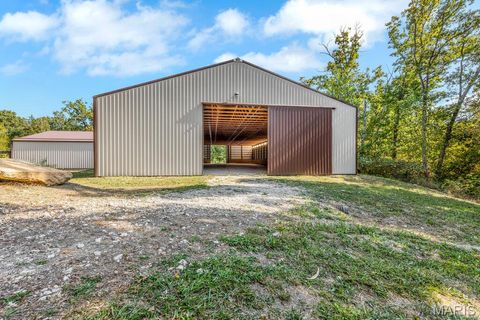 Tiny photo for 29022 Pinnacle Lake Road, New Florence, MO 63363 (MLS # 25055301)