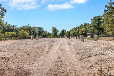 Tiny photo for 29022 Pinnacle Lake Road, New Florence, MO 63363 (MLS # 25055301)