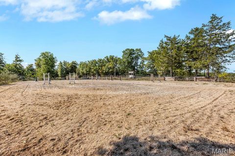 Tiny photo for 29022 Pinnacle Lake Road, New Florence, MO 63363 (MLS # 25055301)