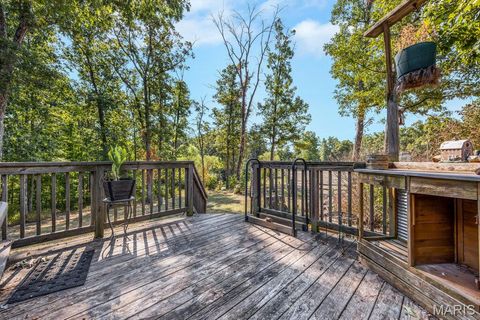 Tiny photo for 29022 Pinnacle Lake Road, New Florence, MO 63363 (MLS # 25055301)