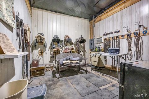 Tiny photo for 29022 Pinnacle Lake Road, New Florence, MO 63363 (MLS # 25055301)