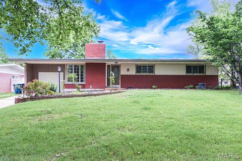 Tiny photo for 819 Renee Lane, St Louis, MO 63141 (MLS # 26030616)