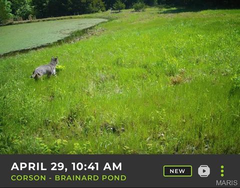 Tiny photo for TBD Brainerd, Crocker, MO 65452 (MLS # 26024806)