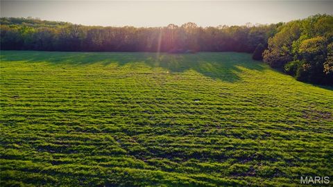 Tiny photo for TBD Brainerd, Crocker, MO 65452 (MLS # 26024806)
