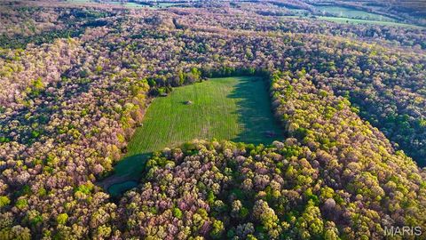 Tiny photo for TBD Brainerd, Crocker, MO 65452 (MLS # 26024806)