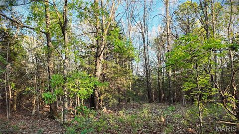 Tiny photo for TBD Brainerd, Crocker, MO 65452 (MLS # 26024806)