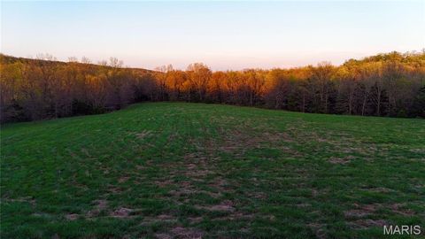Tiny photo for TBD Brainerd, Crocker, MO 65452 (MLS # 26024806)