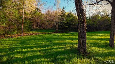 Tiny photo for TBD Brainerd, Crocker, MO 65452 (MLS # 26024806)