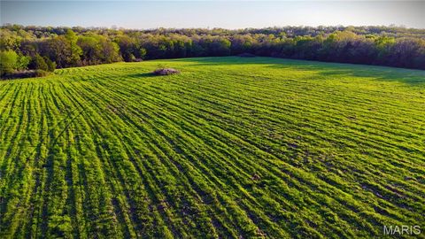 Tiny photo for TBD Brainerd, Crocker, MO 65452 (MLS # 26024806)