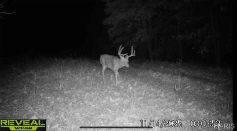 Tiny photo for TBD Brainerd, Crocker, MO 65452 (MLS # 26024806)