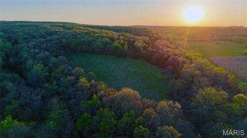 Tiny photo for TBD Brainerd, Crocker, MO 65452 (MLS # 26024806)