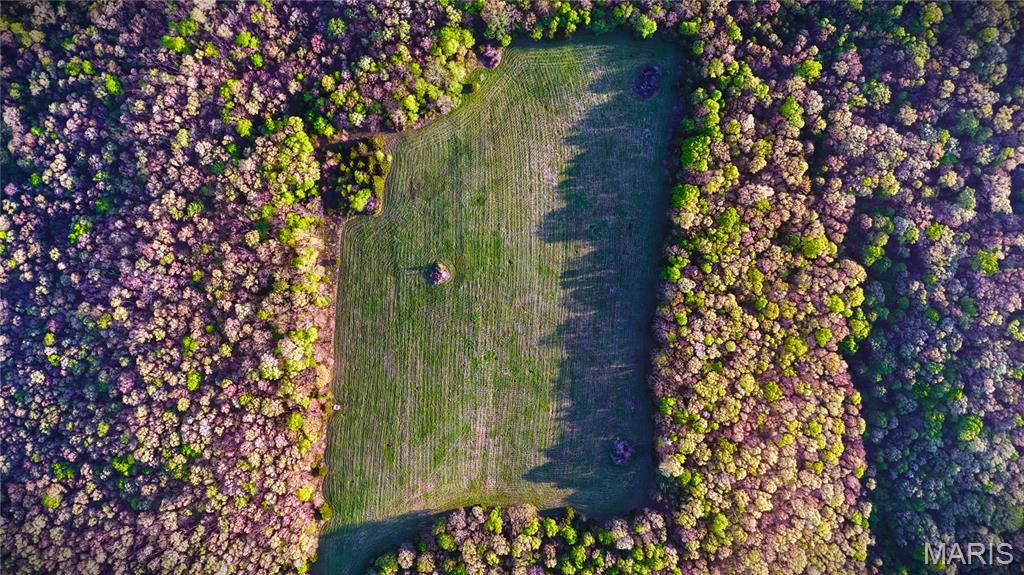None - Farm