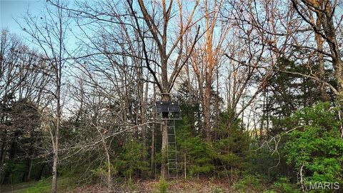 Tiny photo for TBD Brainerd, Crocker, MO 65452 (MLS # 26024806)