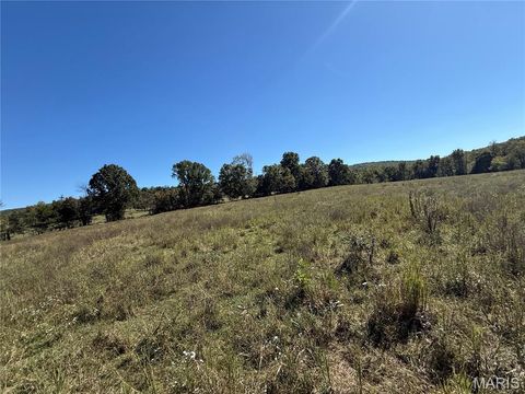 Tiny photo for 0 Cr 157, Des Arc, MO 63636 (MLS # 25069294)