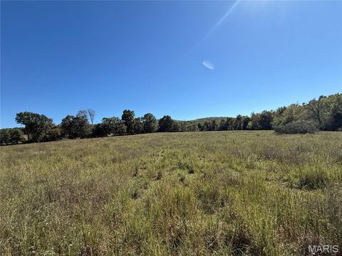 Tiny photo for 0 Cr 157, Des Arc, MO 63636 (MLS # 25069294)