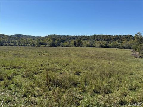 Tiny photo for 0 Cr 157, Des Arc, MO 63636 (MLS # 25069294)