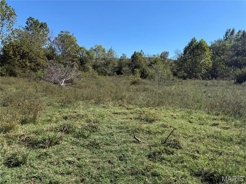 Tiny photo for 0 Cr 157, Des Arc, MO 63636 (MLS # 25069294)