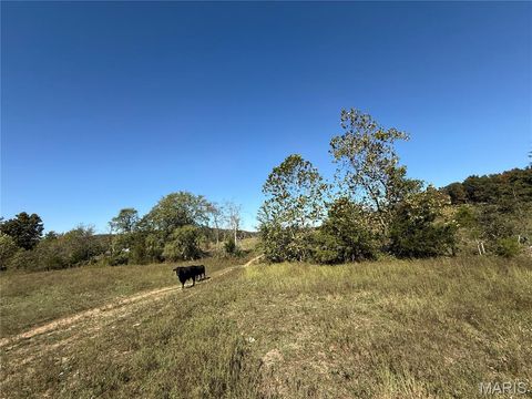 Tiny photo for 0 Cr 157, Des Arc, MO 63636 (MLS # 25069294)