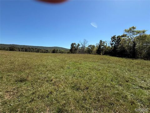 Tiny photo for 0 Cr 157, Des Arc, MO 63636 (MLS # 25069294)